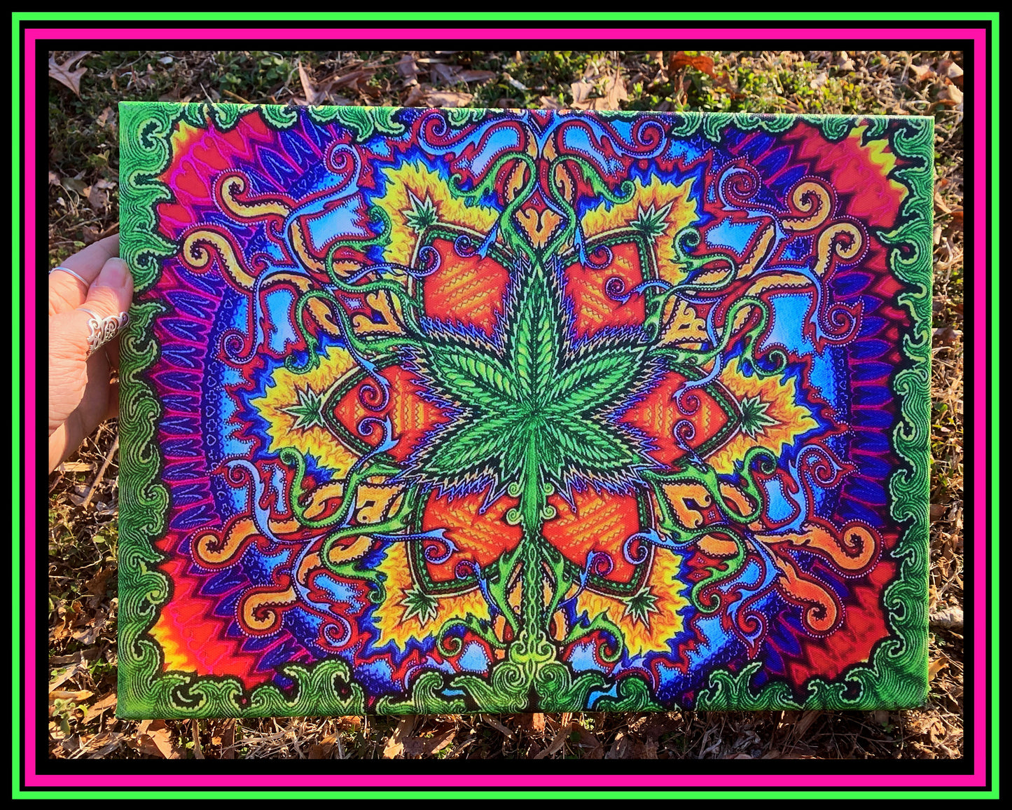 "Herbal Cure" Canvas Print