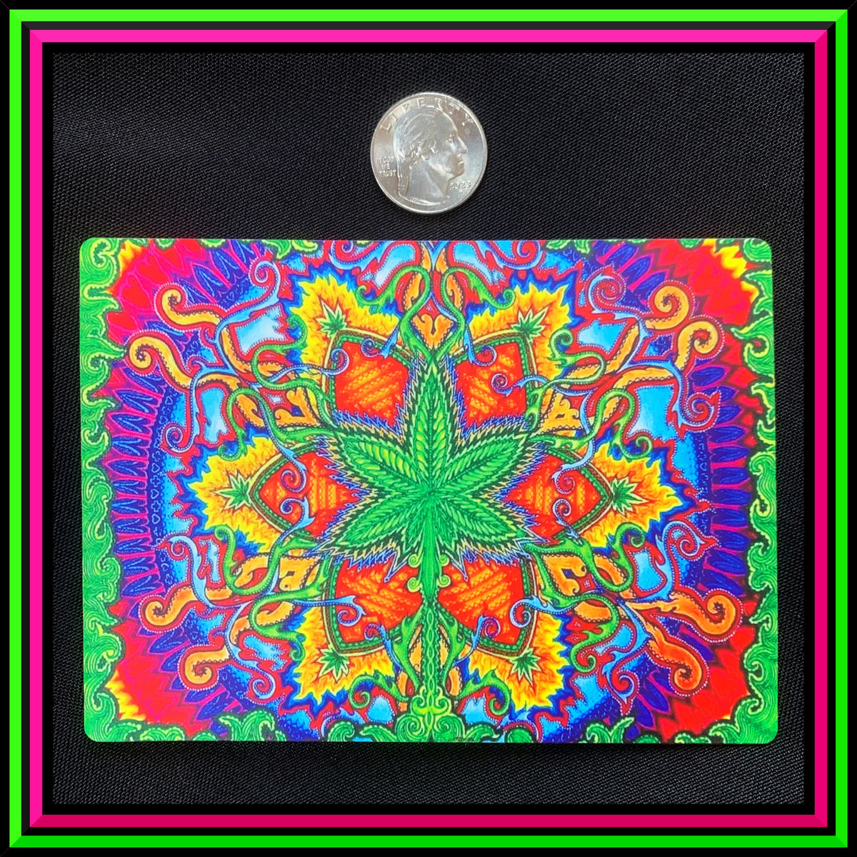 "Herbal Cure" Large Magnet
